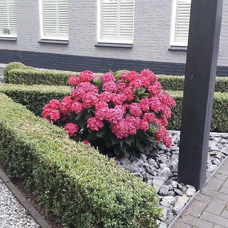 Sfeervolle 2 Persoons Studio In Bakkeveen Luaran gambar